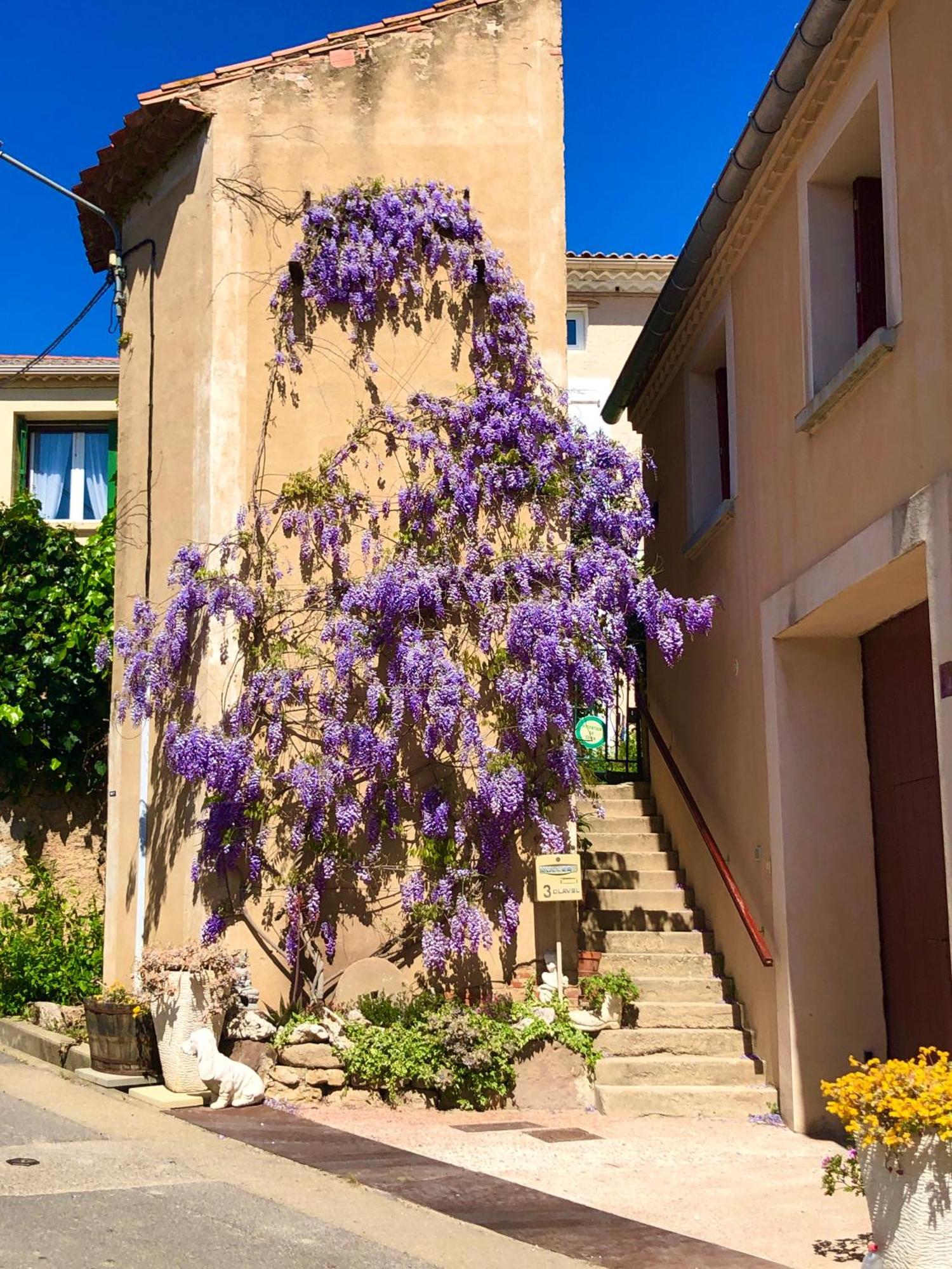 Maison Du Midi, 2 Gites De Charme Ginestas المظهر الخارجي الصورة